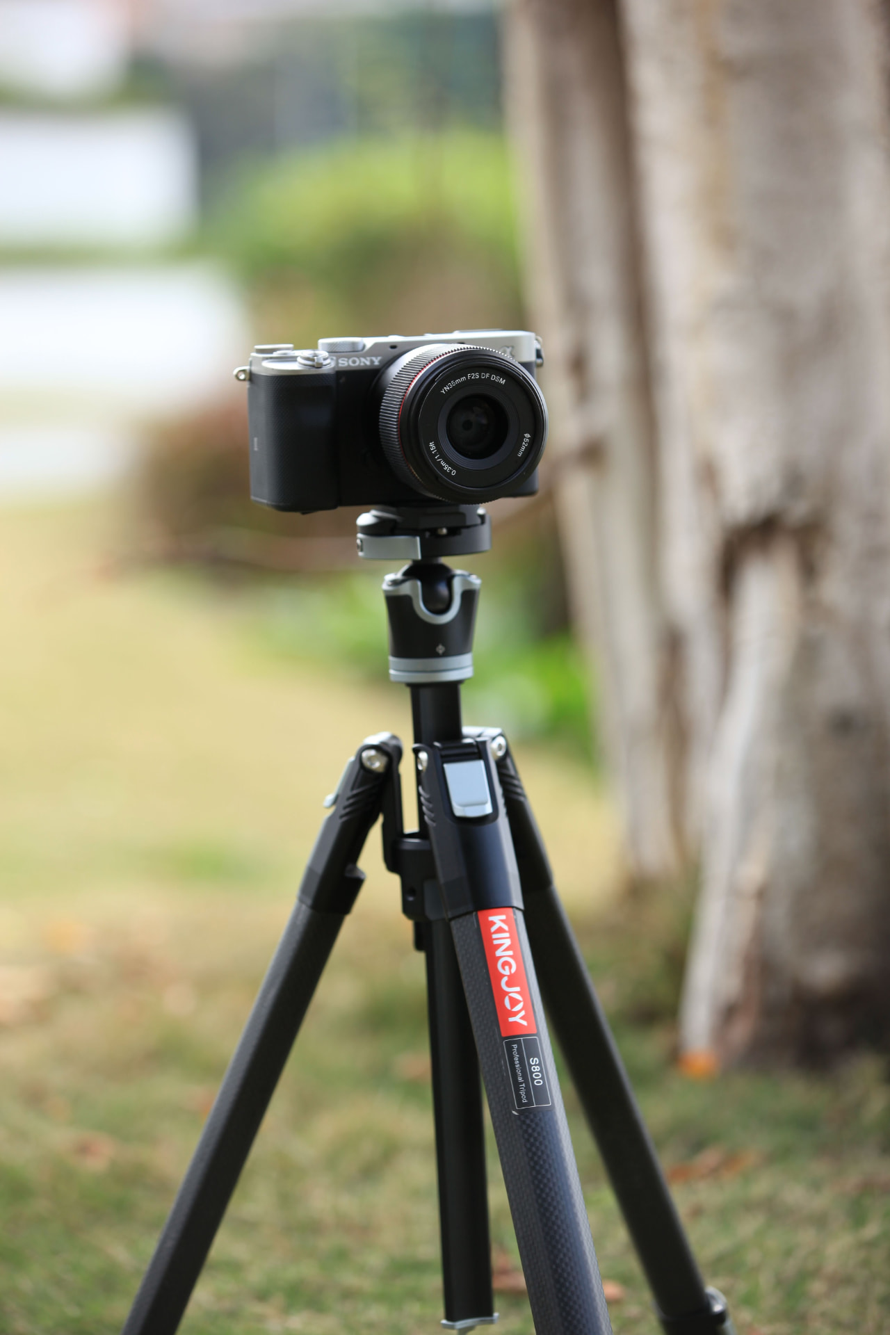 Photography Session